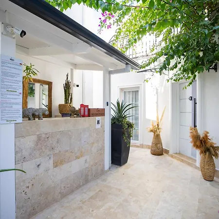 Noa Suite Hotel Only Adult-3