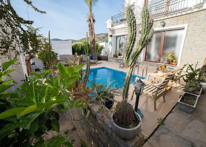 Dolphin Villa Bodrum