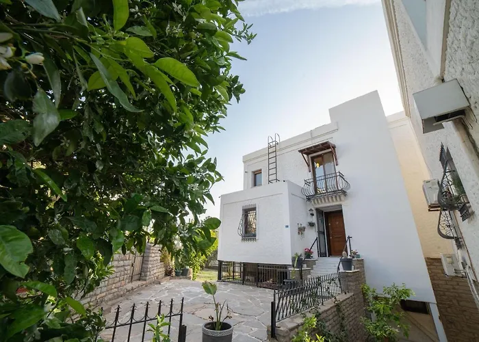 Dolphin Villa Bodrum